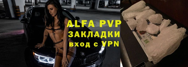 прущие грибы Майский