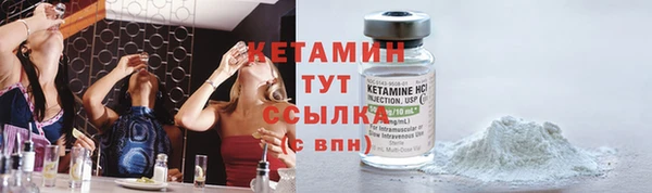прущие грибы Майский