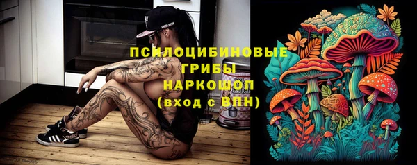 мескалин Медвежьегорск