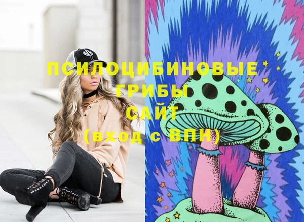 соль ск Мегион