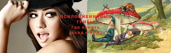 соль ск Мегион