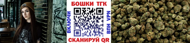 MEGA вход  Лодейное Поле  Бошки марихуана сатива  сколько стоит 